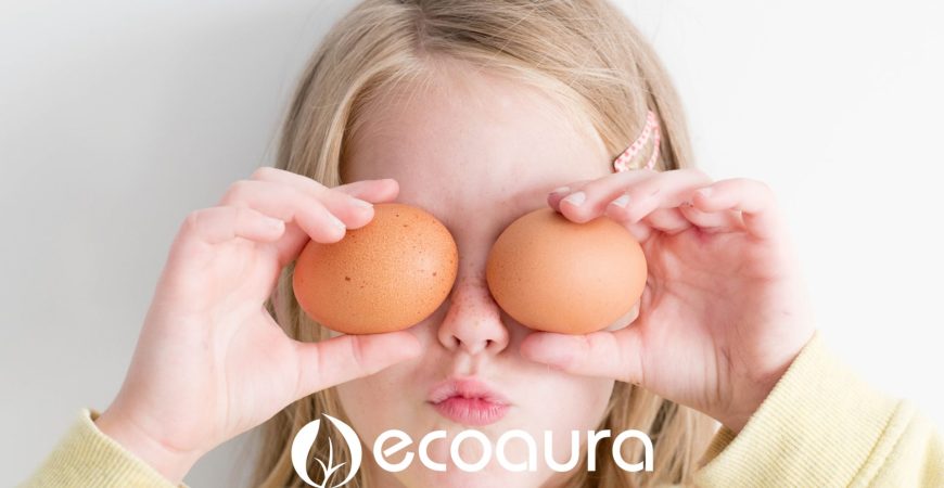Jardinagem com cascas de ovos - Ecoaura